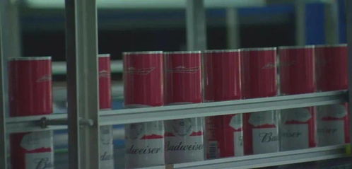 溫州印刷包裝企業(yè)求變創(chuàng)新 裝潢印務(wù)成轉(zhuǎn)型升級突破口